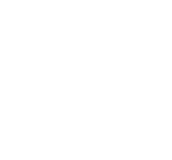 インコース