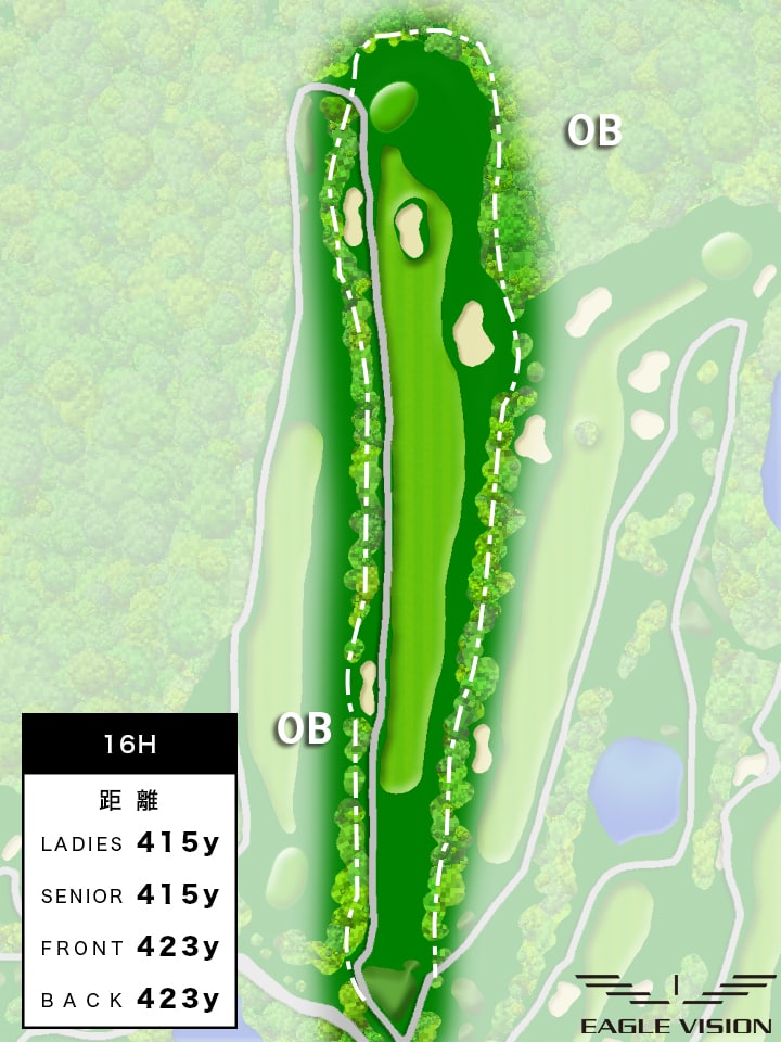 hole-16 全体図