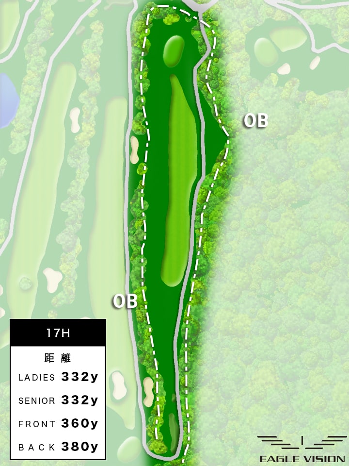 hole-17 全体図